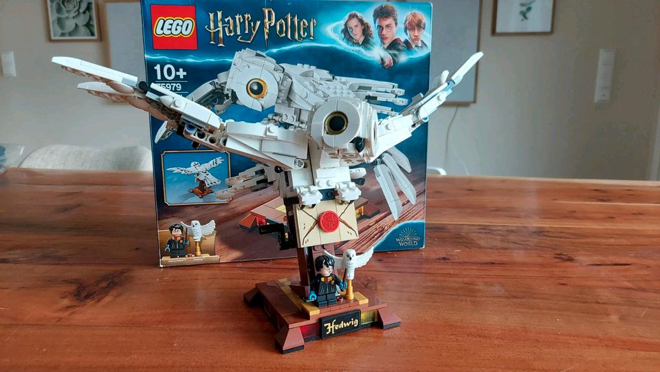 Lego Harry Potter (10+) top Zustand in Lengede