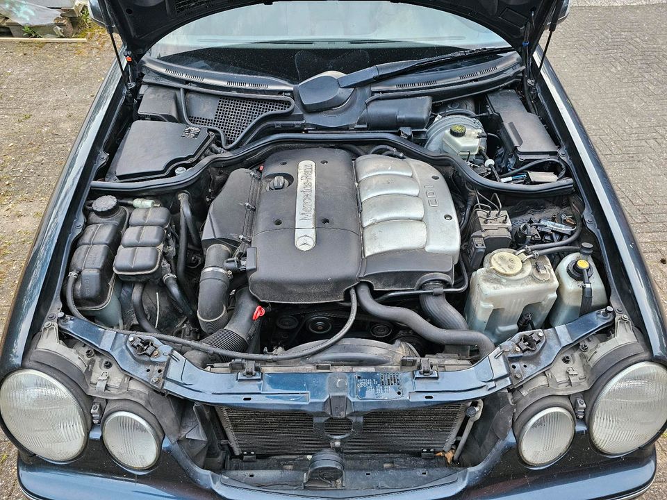 Mercedes W210 E 220 CDI "Elegance" Mopf - Klima,AHK abnehmb., PDC in Bothel Kreis Rotenburg, Wümme