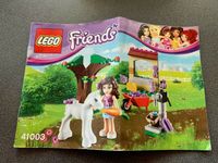 Lego Friends 41003 Niedersachsen - Duingen Vorschau