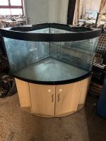 Aquarium 400 Liter komplett Sachsen-Anhalt - Osterburg Vorschau