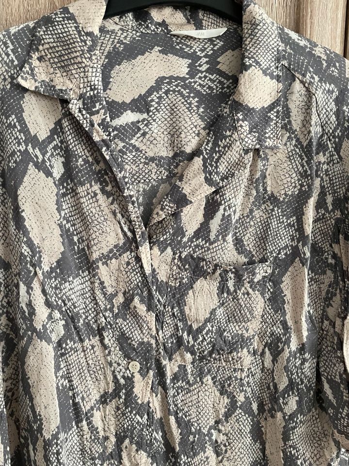 Süße Kurzbluse im Animalprint von H&M in XL - neu! in Berlin