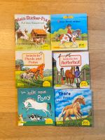 6 Pixibücher Pony Pferde Reiterhof Pixi wie neu Nordrhein-Westfalen - Mönchengladbach Vorschau