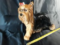 Goebel Figur Yorkshire Terrier Yorki Niedersachsen - Wilhelmshaven Vorschau