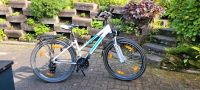 Mädchenfahrrad Fahrrad 26 Zoll Rahmen 38cm Pegasus Avanti Sport Nordrhein-Westfalen - Bergisch Gladbach Vorschau