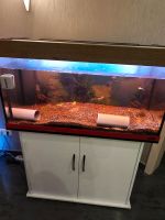 Juwel Aquarium 200l + EHEIM 2275 Außenpumpe Nordrhein-Westfalen - Erkelenz Vorschau