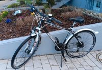 Fahrrad  Herren Winora 28 Zoll RH 50cm Baden-Württemberg - Neuenstadt Vorschau