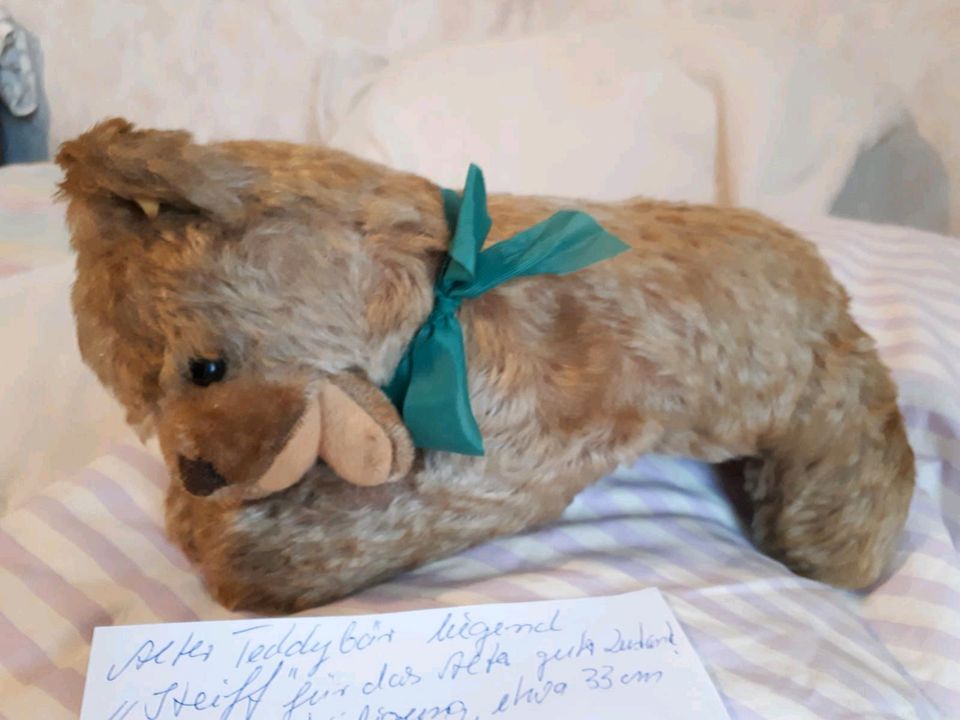 Steiff Teddy  Alter Teddybär in Eilenburg