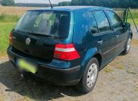 VW  Golf 4 Nordrhein-Westfalen - Espelkamp Vorschau