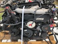 Motor Audi A6 C6 CAN CANA 2.7 140kW 190 PS Sachsen - Halbendorf Vorschau