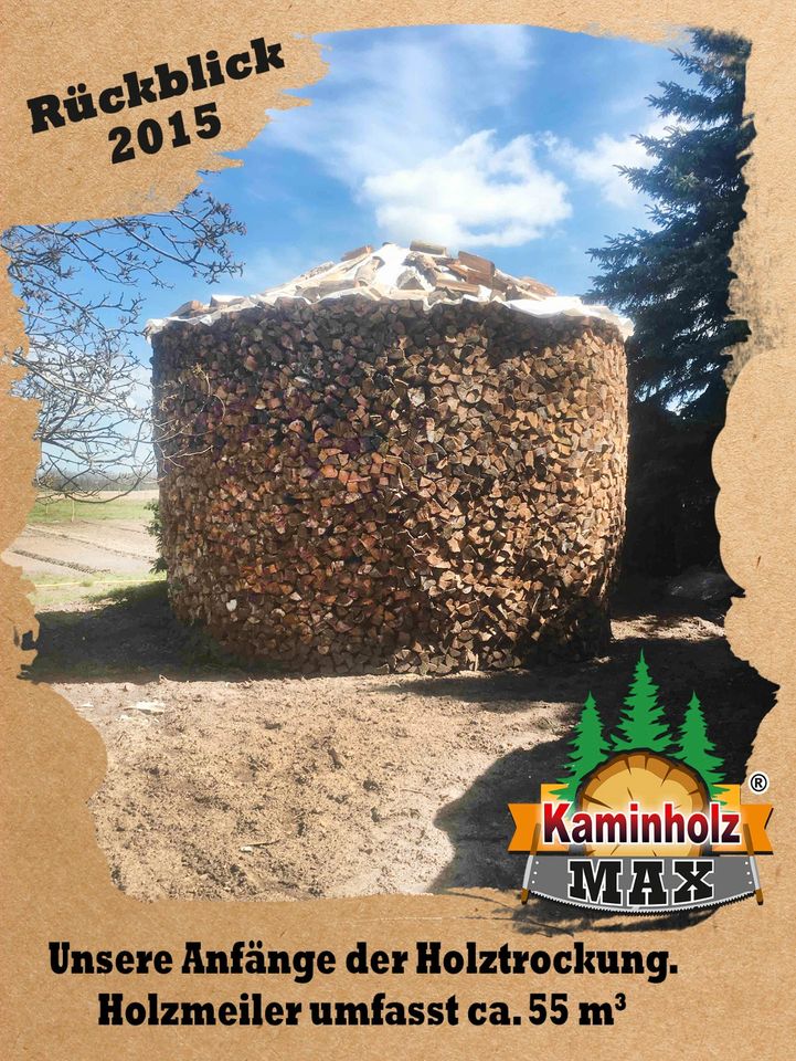 ab 4 m³ bis 35 m³ - 30 km um KEMBERG, Gräfenhainichen, Bad Schmiedeberg Kaminholz, Brennholz, Feuerholz, Holzvergaser, Kamin, Holz, Feuer, Brenn in Kemberg