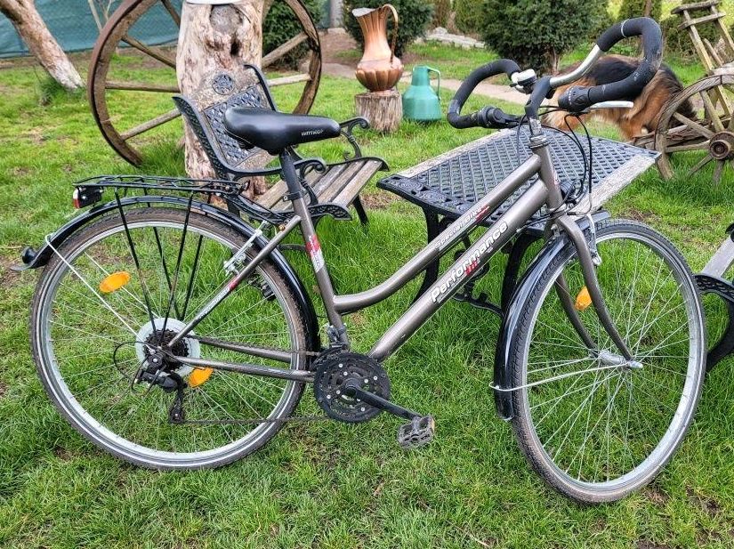 Fahrrad gestohlen Damenfahrrad in Moormerland