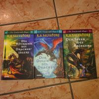 R.A. Salvatore Die Drachenwelt Saga Rheinland-Pfalz - Roxheim Vorschau