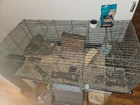 Hamster Käfig komplettes Zubehör Brandenburg - Geltow Vorschau