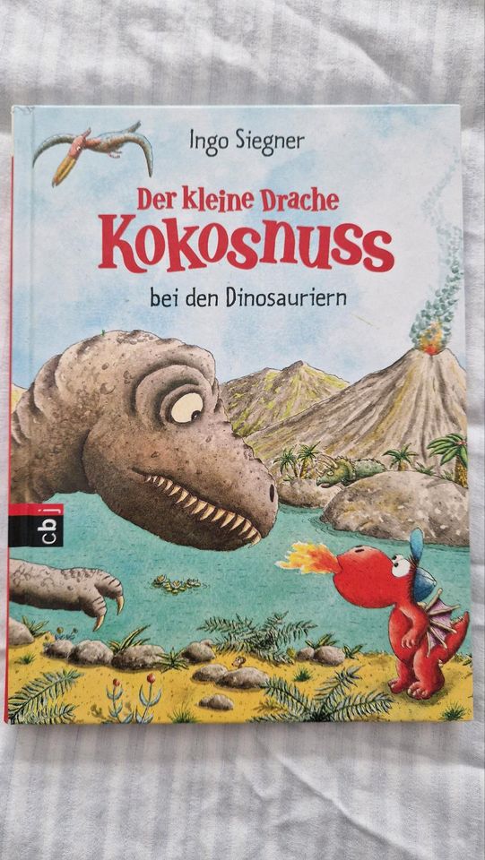 Buch 2x Drache Kokosnuss in München