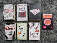 Bücher: Krimi, Thriller, Psychothriller, Halloween Rostock - Brinckmansdorf Vorschau