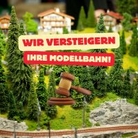 Wir versteigern Ihre Modelleisenbahn -  Ankauf Modelleisenbahn Niedersachsen - Hameln Vorschau