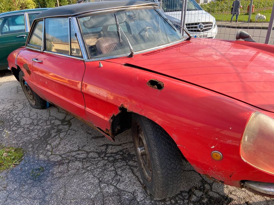 Alfa Romeo 1750 Rundheck Spider MATCHING NUMBERS in Haar