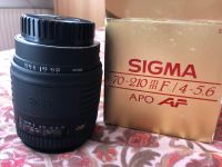 Sigma Objektiv 70 - 210 für Minolta AF Hannover - Südstadt-Bult Vorschau