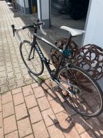 Giant Rennrad Baden-Württemberg - Leutkirch im Allgäu Vorschau