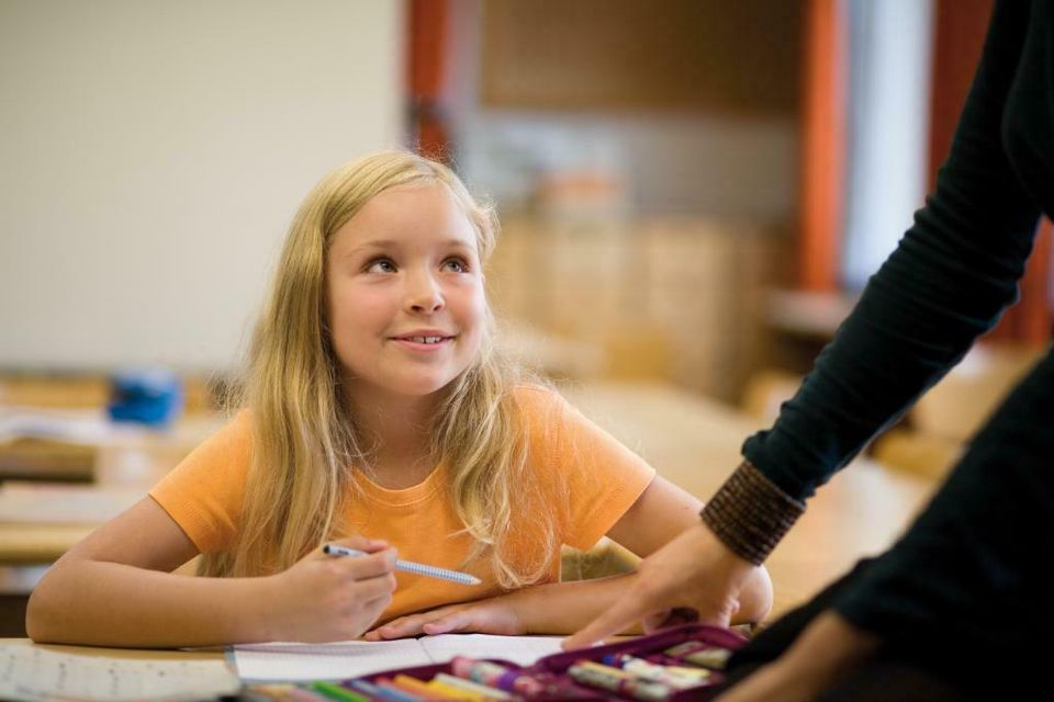 Professionelle Nachhilfe für alle Schularten und -klassen in Vettelschoß