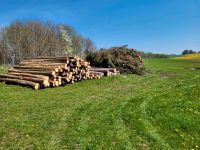 Brennholz Stammholz fichte Bayern - Rudelzhausen Vorschau