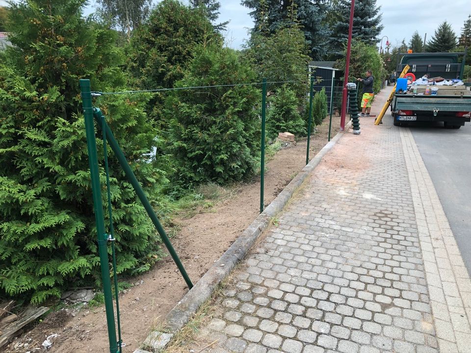 Garten -und Objektpflege, Grundstückspflege, Heckenschnitt in Colditz