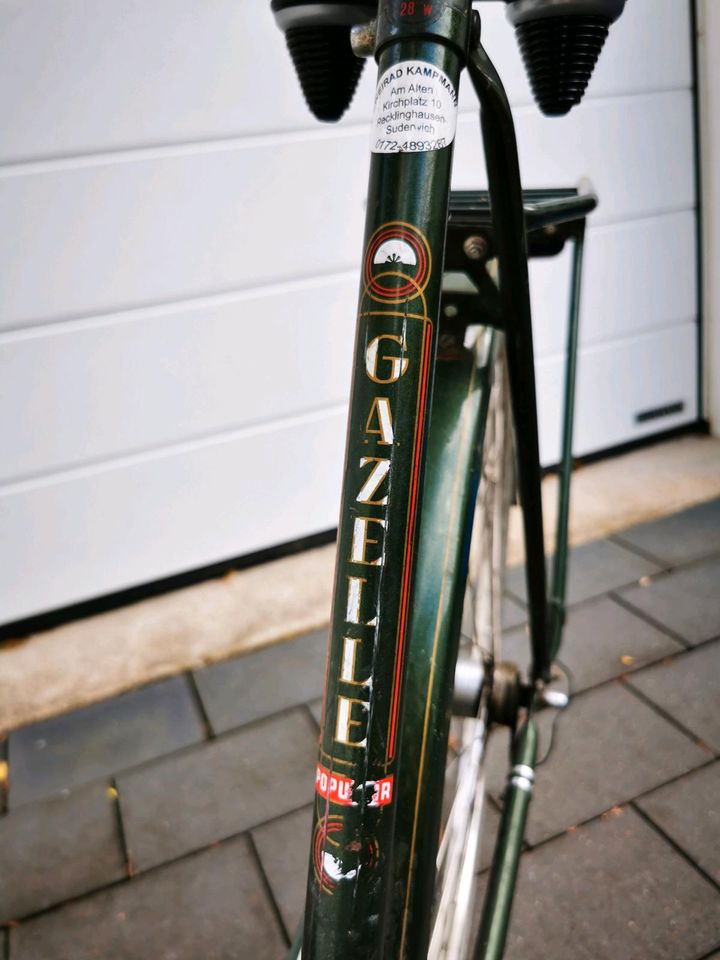 Hollandfahrrad Gazelle in Datteln