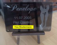 Pferde Boxenschild Acryl Personalisiert Pferdebox Lasergravur Kiel - Elmschenhagen-Kroog Vorschau