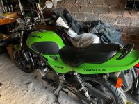 Kawasaki ER-5 Twister Nordrhein-Westfalen - Rheinbach Vorschau