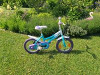 Kinder Fahrrad Elsa Disney Eiskönigin 14 zoll türkis lila Reifen Nordwestmecklenburg - Landkreis - Seehof Vorschau