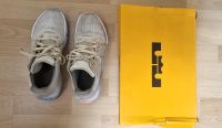 NIKE Schuhe LEBRON WITNESS 6 Basket-ballschuhe EUR 43_US 9,5 Aachen - Laurensberg Vorschau