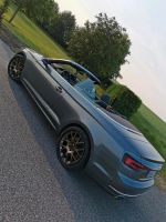 Audi / Mercedes- BBS CH-RII BRONZE Matt, NP 6000€, wie NEU Frankfurt am Main - Heddernheim Vorschau