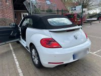Volkswagen Beetle Cabrio Automatik Diesel Kreis Pinneberg - Wedel Vorschau
