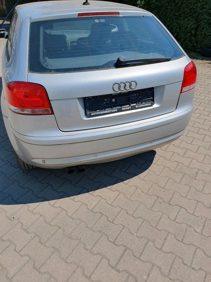 Audi A3 3 türig in Gremmendorf