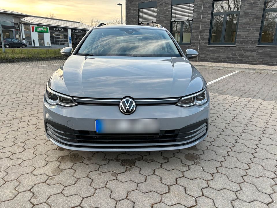 Volkswagen Golf Variant VIII Life Business-Paket Kombi in Willebadessen