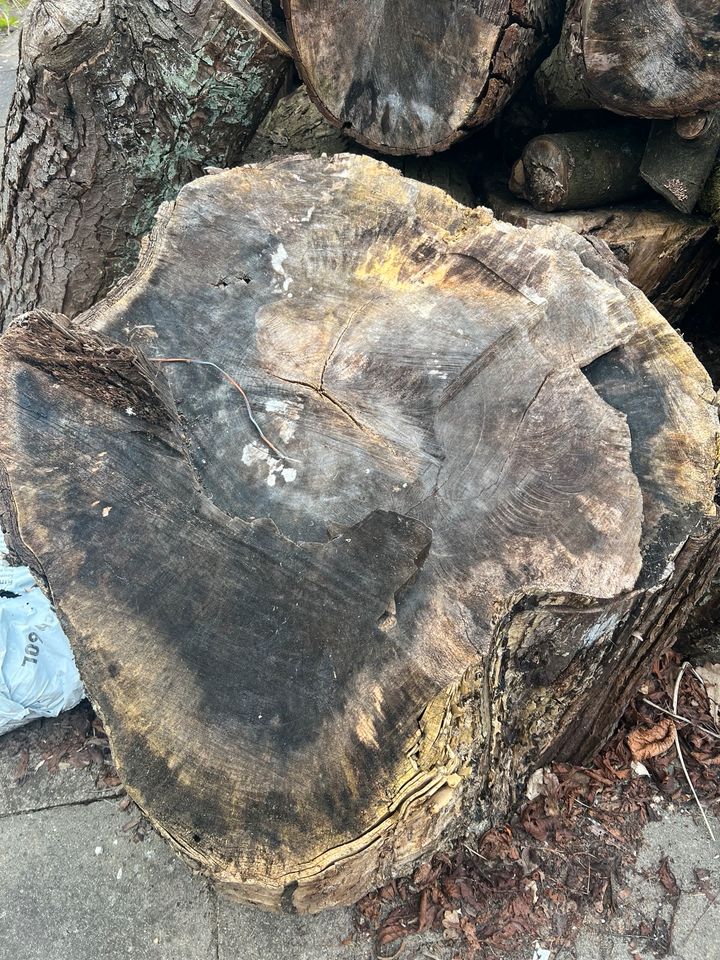 Holz Stammholz Großholz in Horneburg