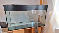 240l Aquarium mit Unterschrank Sachsen - Malschwitz Vorschau