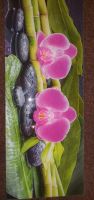 Orchideenbild Phalaenopsis Glas.80 cm-30 cm 4 mm stark Bayern - Pfaffenhofen a. d. Roth Vorschau