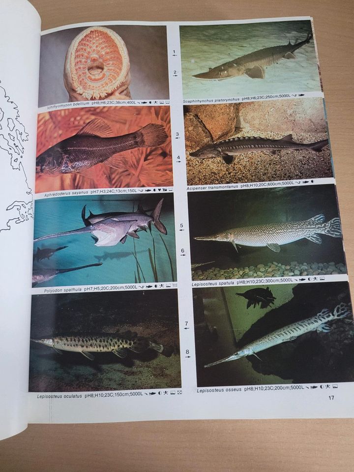 Aquarien Aquarium Buch Ratgeber Atalad Lexikon Zierfische in Appenheim