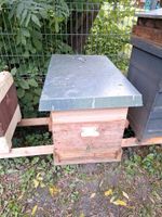 Bienen Herold Trogbeute Zander Hessen - Hatzfeld (Eder) Vorschau