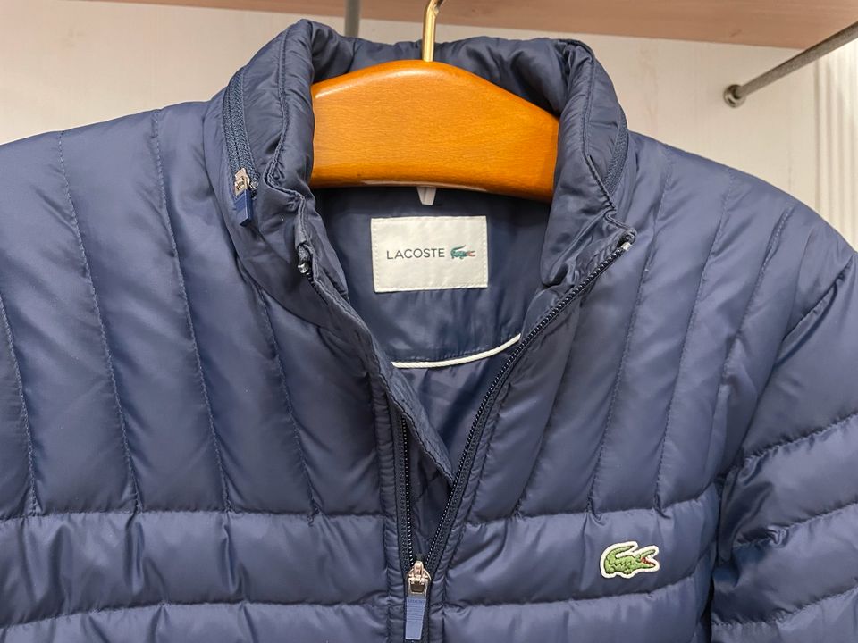 Lacoste Steppjacke (Gr. 48) in Nidderau