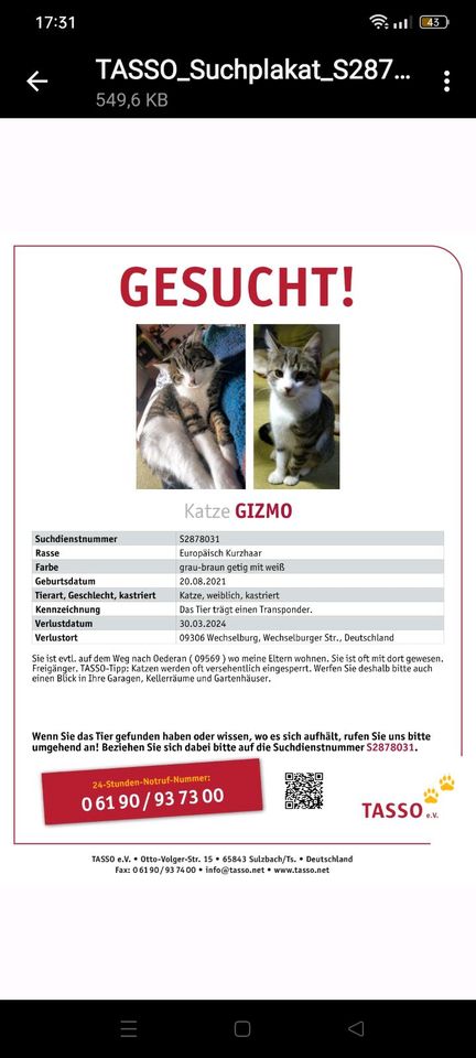 Katze Vermisst in Wechselburg
