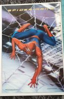 Spiderman 2  3-D Plakat, 100 x 70, aus Kunststoff, Eindrucksvoll Hessen - Ober-Ramstadt Vorschau