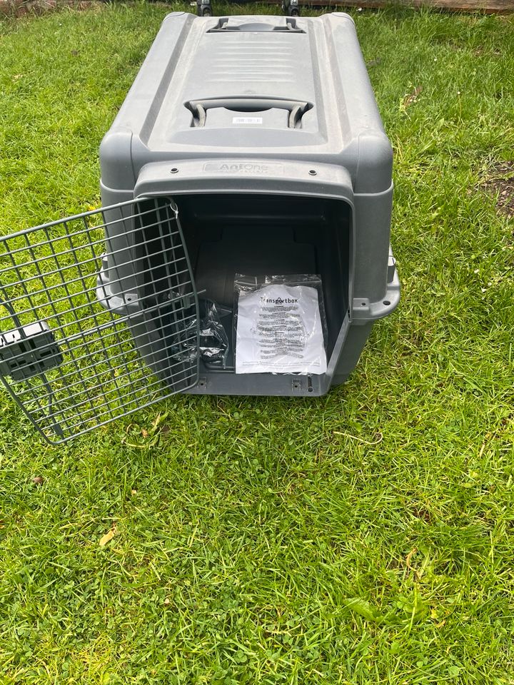 Hunde Transportbox in Olsberg