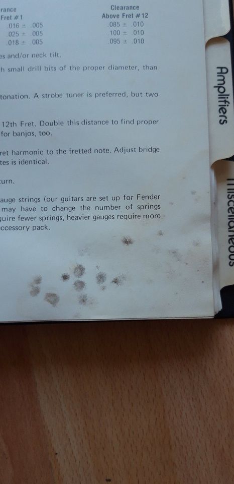 Fender Service Manual - Black Gold in Erding