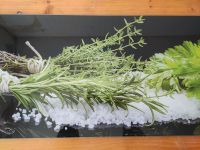 Glasbilder für die Küche Nordrhein-Westfalen - Holzwickede Vorschau