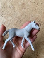 Schleich Fohlen Rheinland-Pfalz - Nastätten Vorschau