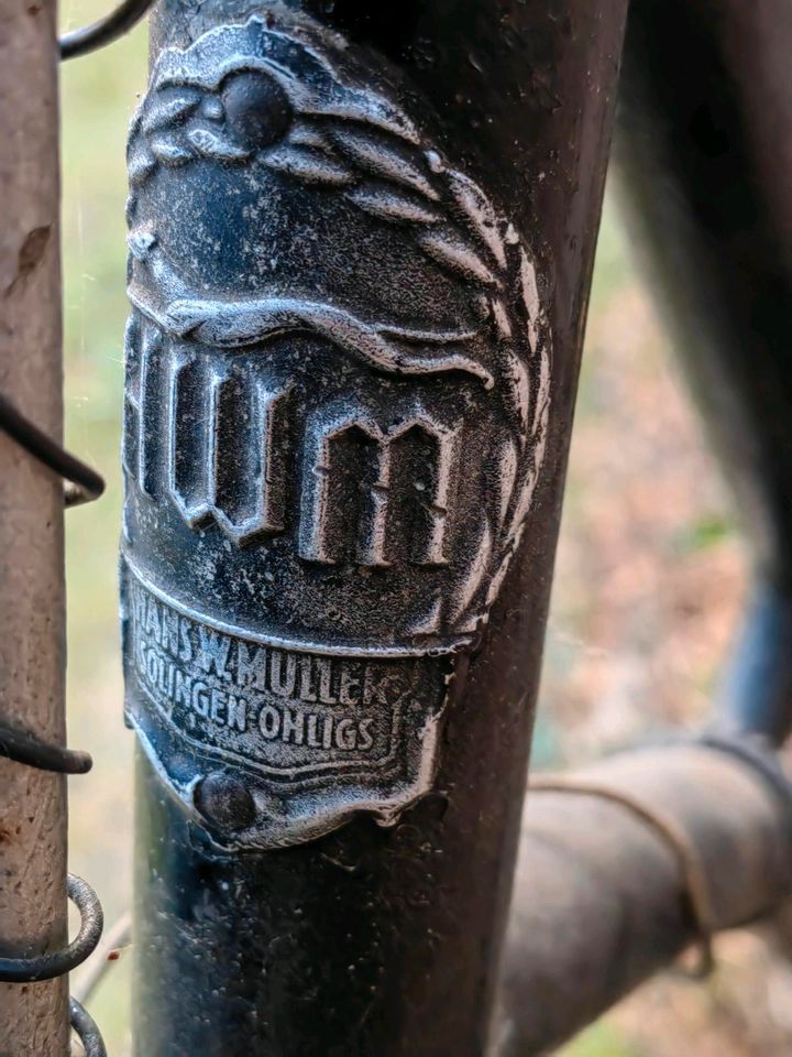 Altes Damen Rad zum fahren oder dekorieren in Neubrandenburg