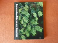 Buch"Immergrüne Bäume und Sträucher",Garten,wie neu Baden-Württemberg - Ravensburg Vorschau