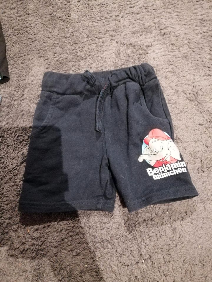 Benjamin blümchen shorts in Goch